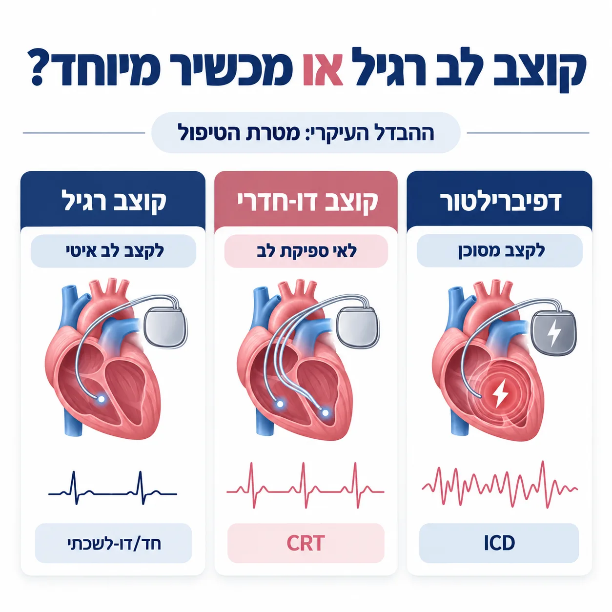קוצב לב | אינפוגרפיקה