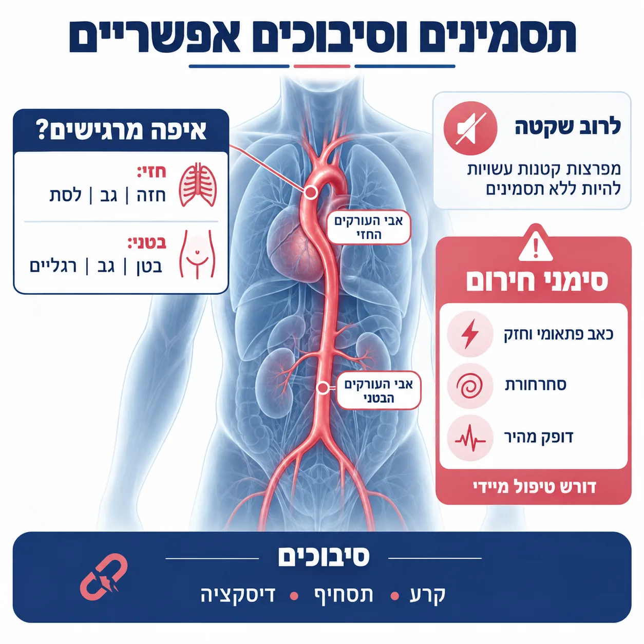 מפרצת באבי העורקים (אאורטה) | אינפוגרפיקה