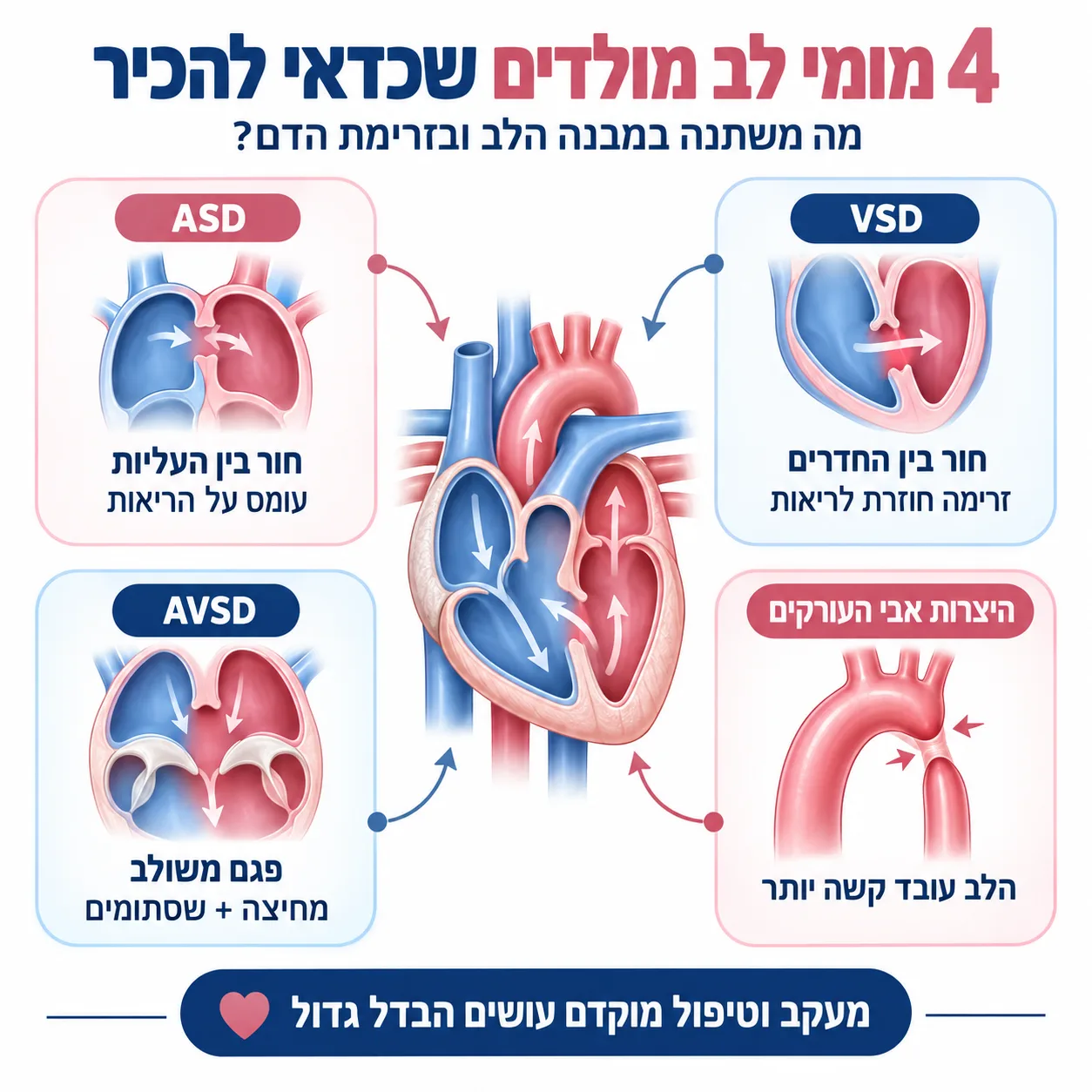 איך לנהל חיים בריאים עם מומי לב מולדים? | אינפוגרפיקה